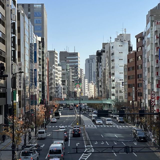 시부야 스크램블 빌딩에서 본 풍경