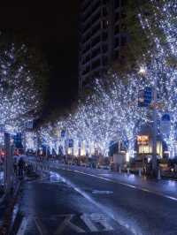 도쿄거리를 수놓은 화려한 빛의 물결