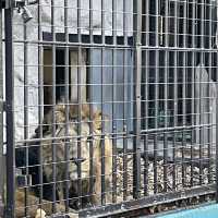 何度行っても楽しめる！無料の動物園♪