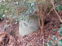 石原岳森林公園