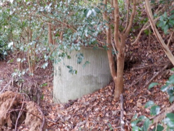 石原岳森林公園