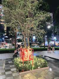 Christmas lights of Orchard