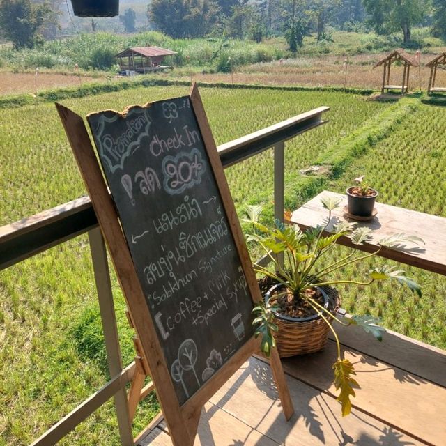 กาแฟสบขุ่น ช้างเผือกกลางป่าลึก! 
