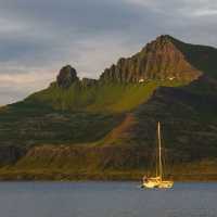 Hornstrandir Sailing Trip