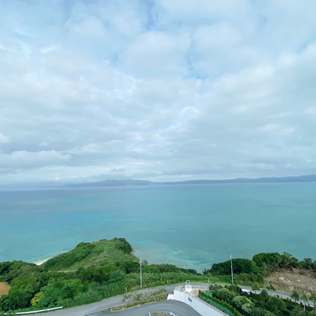 熱帯植物がきれい