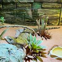 免費動物全接觸