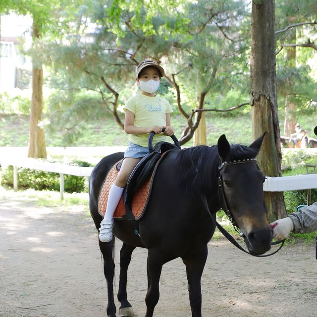 용인 한터목장 아이들 놀거리 많아