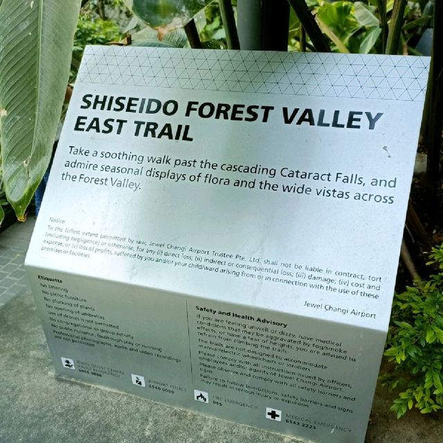 Shiseido Forest Valley & Waterfall at Jewel