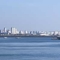요즘은 산책도 바닷가에서 한다며 ? | 목포 평화광장
