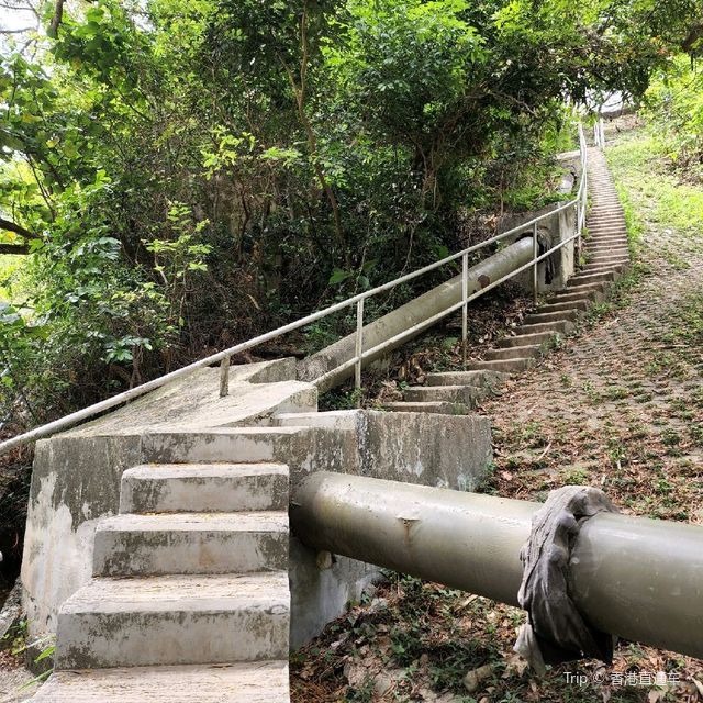 玉桂山