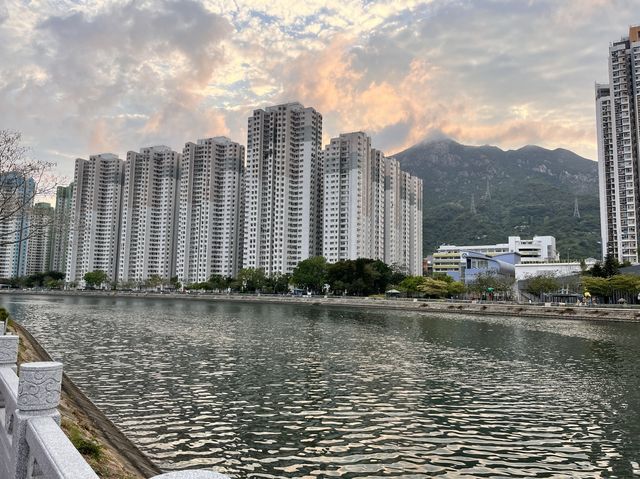 平靜的擁抱怒與哀樂
