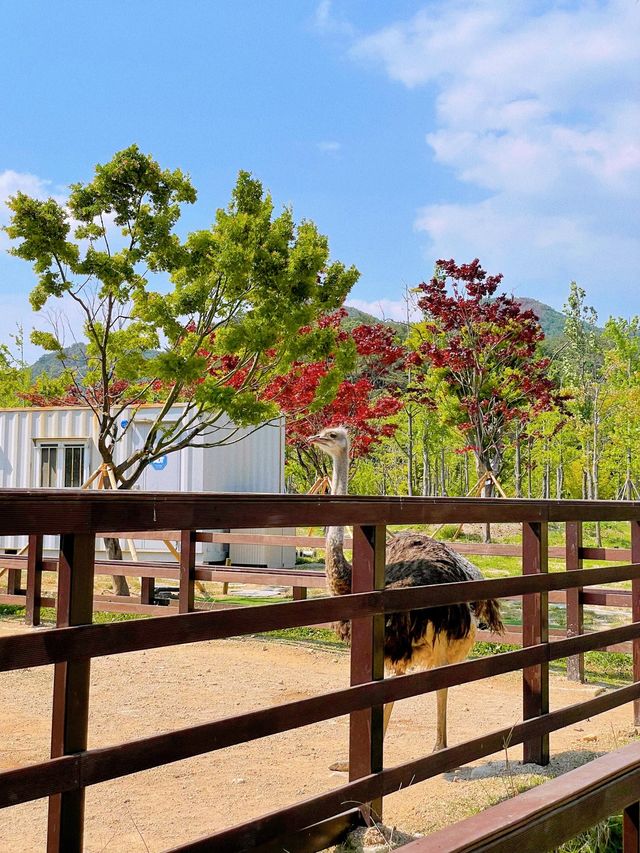 부산 봄나들이 가기 좋은 해운대 수목원 🌿