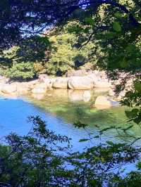 【屋久島 横河渓谷】屋久島の穴場癒しスポット