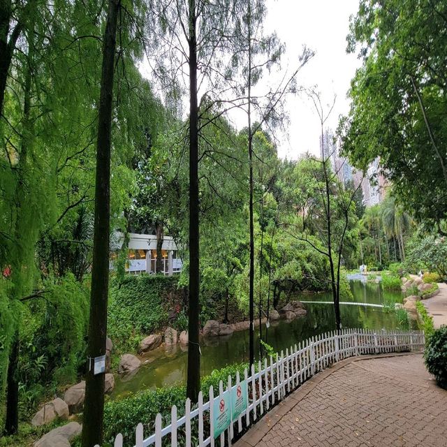香港的城市綠洲🏕🏖