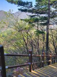 💛광교산 등산💛