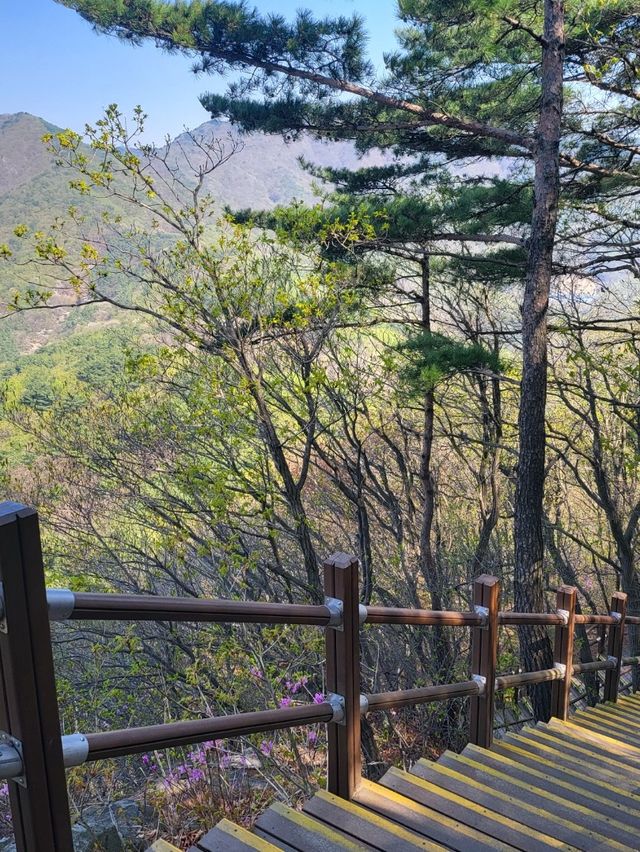 💛광교산 등산💛