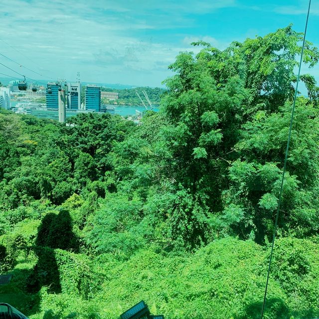 Mount Faber Peak 