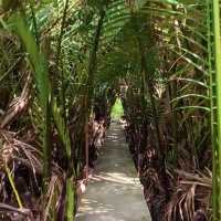 ขี่จักรยานชมธรรมชาติที่บางกระเจ้ากัน
