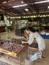 BN Farm ไร่บีเอ็น พืชผักผลไม้ ของท้องถิ่น
