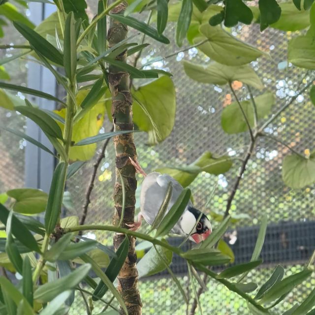 每個地方都可以打卡嘅公園