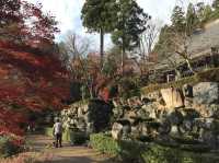 【滋賀】県内随一の紅葉スポット！鶏足寺をご紹介