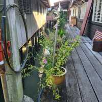 Locals live on floating wooden planks