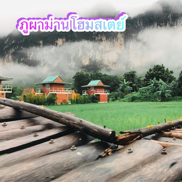 ภูผาม่านโฮมสเตย์ อ.ภูผาม่าน จ.ขอนแก่น