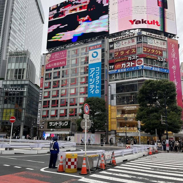도쿄 시부야 메인 스트리트 “도겐자카”🚦