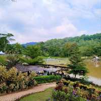 BUKIT JELUTONG