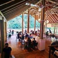云顶山脚大自然松树林喝咖啡 Pineyard Cafe