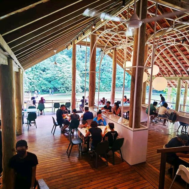 云顶山脚大自然松树林喝咖啡 Pineyard Cafe