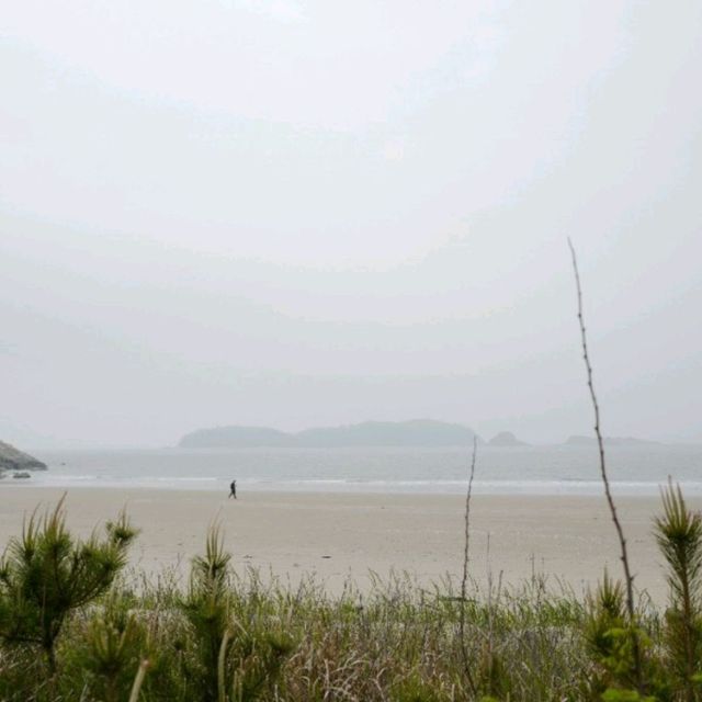 삽시도 밤섬 해수욕장 여행