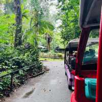  The oldest zoo in Malaysia : Zoo Taiping