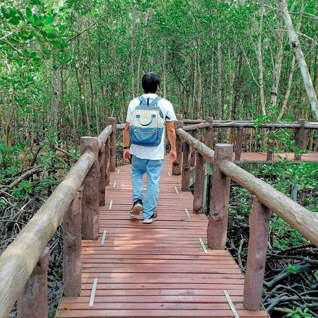 เชิญชวนเพื่อนๆล่องใต้เริ่มที่หมู่เกาะชุมพรจร้า