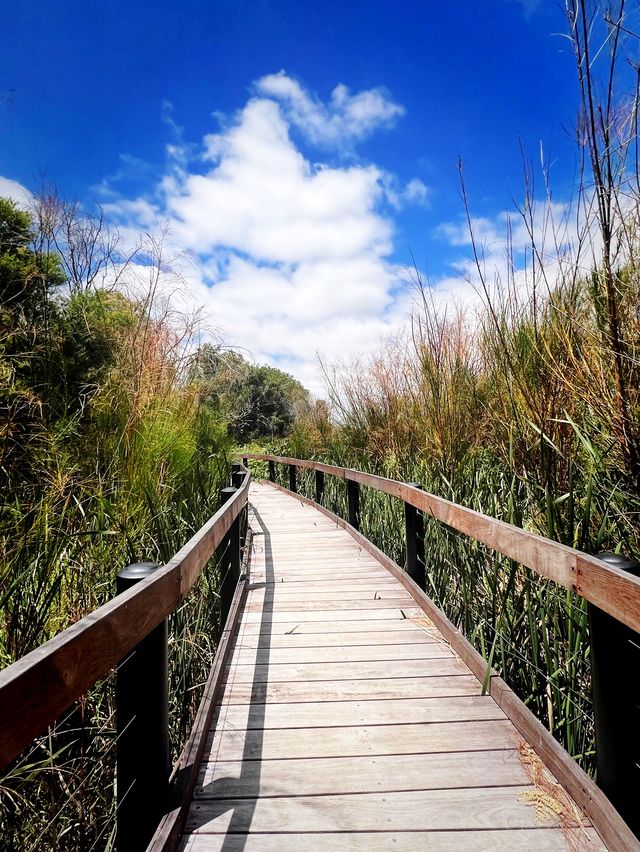 Trees and Twigs @ Yanchep National Park! 🫣🤩