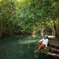 ที่พักกระบี่บรรยากาศดีริมลำธาร BluMonkey Pooltara
