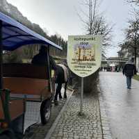 Horse carriage to Neuschwanstein Castle 