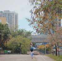 車公廟站半日遊