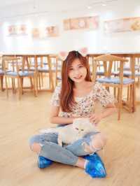 🐱🐱Catio貓cafe！Caca去搵喵喵~🐱🐱