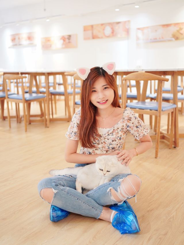 🐱🐱Catio貓cafe！Caca去搵喵喵~🐱🐱