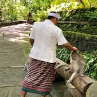 聖猴森林公園