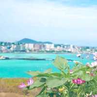 제주 동쪽 오름추천 '함덕서우봉'