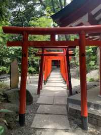 【静岡県】来宮神社