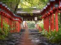 平日の貴船神社をゆっくりお散歩。