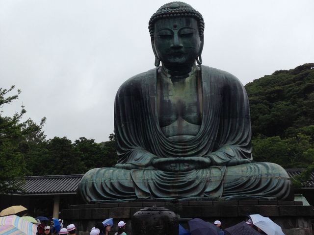 神奈川　観音堂のアサガオ巡り💜