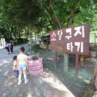 용인 한터목장 아이들 놀거리 많아