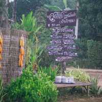 โฮมสเตย์บ้านนาต้นจั่น  
