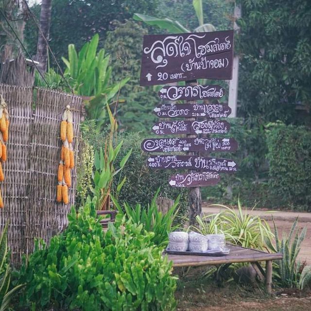 โฮมสเตย์บ้านนาต้นจั่น  