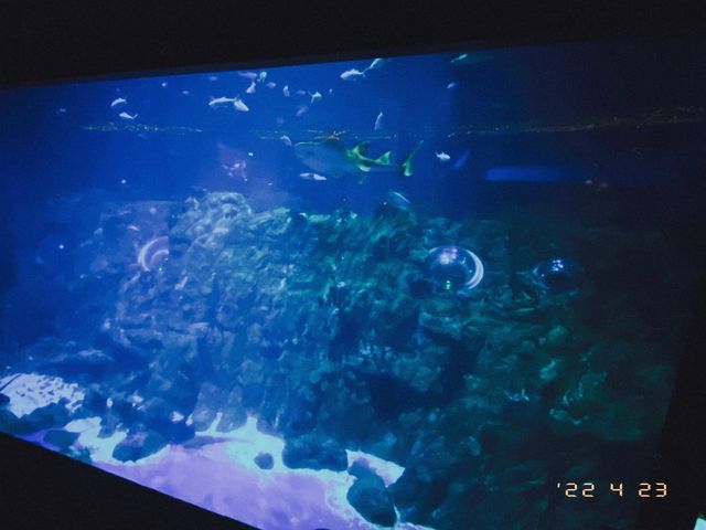海龍王餐廳