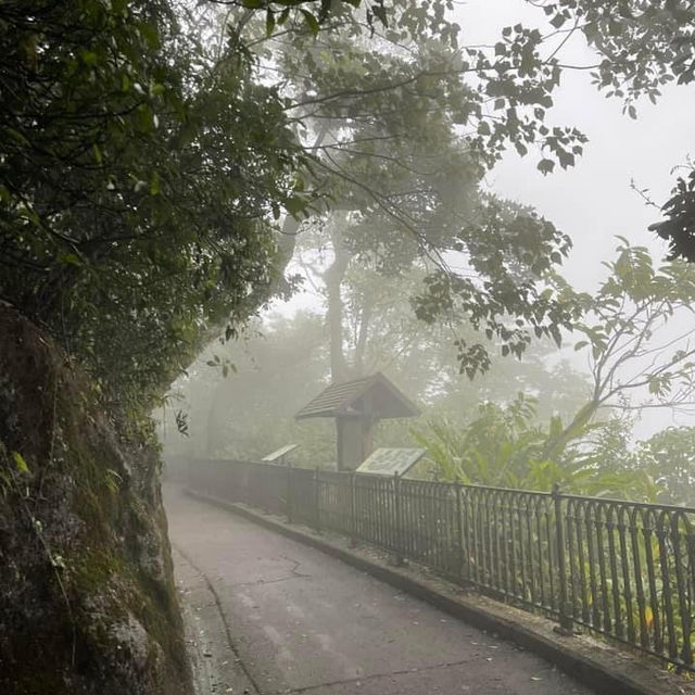 疫下山頂體驗🫣超大霧初感受